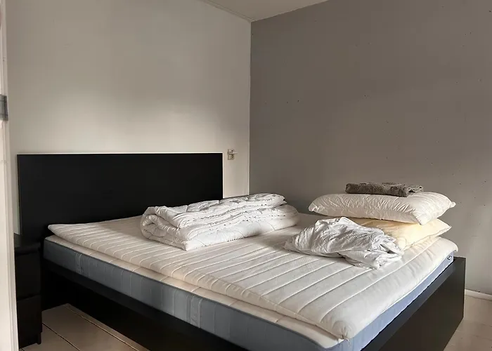 Homestay Properties