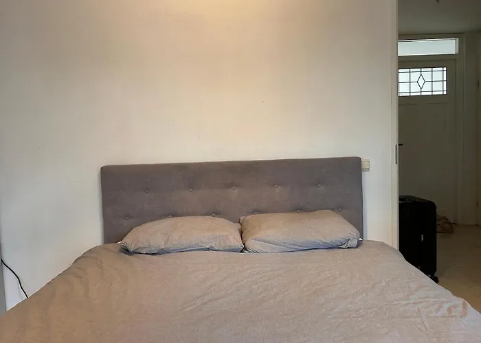 Homestay Properties